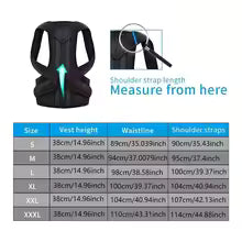 Posture Corrector Belt – Adjustable Back & Spine Support for Men & Women